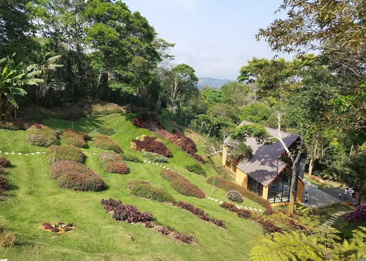 Vista aérea de la finca: jardines en terrazas florecidos que bajan por la ladera hasta la capilla, con montaña al fondo.