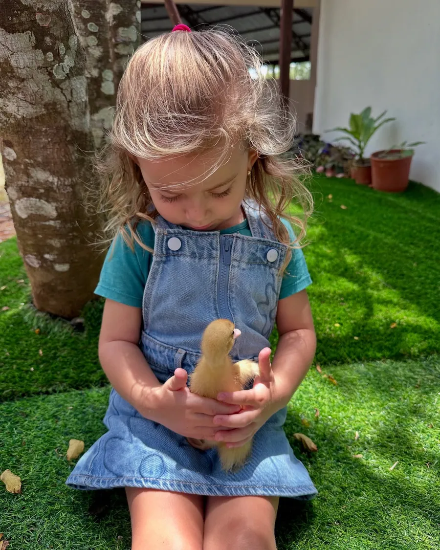 Una granja interactiva, pensada para grupos familiares y escolares.
