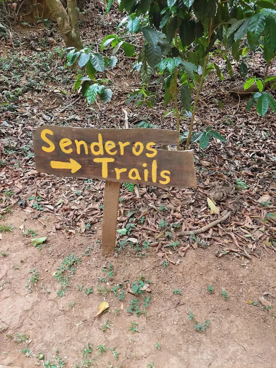 Sendero señalizado entrando al bosque de la finca.